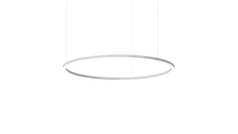 Ringus D