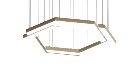 Illuminate
