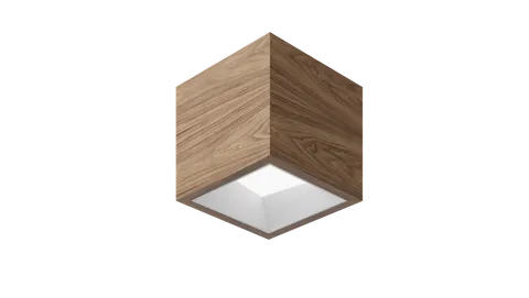 Box WP