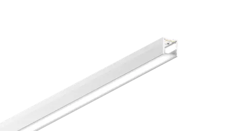 NS PRO 1919