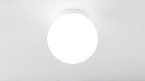 Fog
