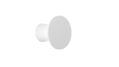 Torch