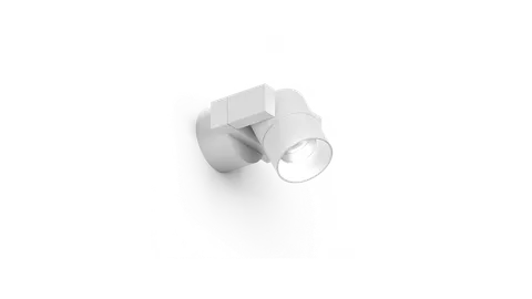 Bok
